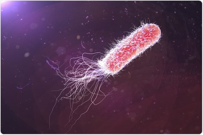 Bacterium Pseudomonas aeruginosa, antibiotic-resistant nosocomial bacterium. Illustration shows polar location of flagella and presence of pili on the bacterial surface - Illustration Credit: Kateryna Kon / Shutterstock