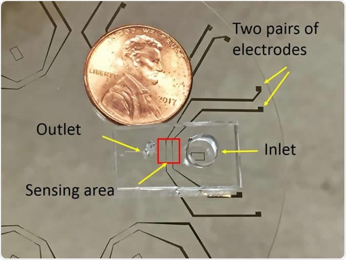 This portable tool can rapidly reveal whether a cell is stressed, robust or unaffected by environmental conditions. Image Credit: Jianye Sui