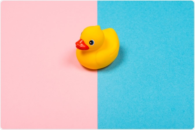 Image Crediot: MirasWonderland / Shutterstock