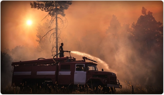 Image Credit: Lumppini / Shutterstock