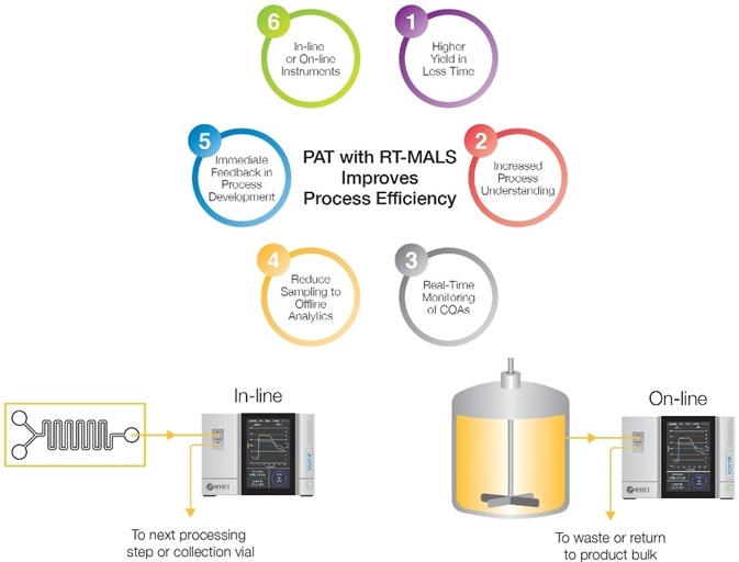 The Depolymerization Process in Polysaccharide-Based Vaccines