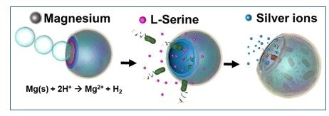 Scientists develop self-propelling chemical trap to corner and destroy pathogens