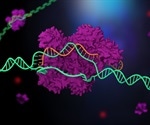 Gene-editing taken to advanced levels in human stem cells