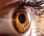 European project aims to develop new treatments for rare eye diseases