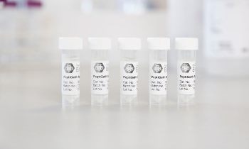 PeptiGels® for 2D and 3D Cell Culture