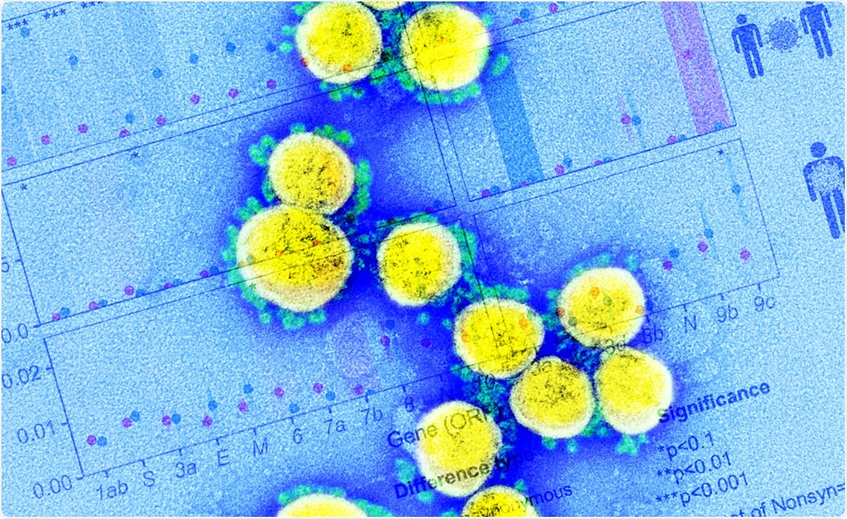 Study: Dynamically evolving novel overlapping gene as a factor in the SARS-CoV-2 pandemic