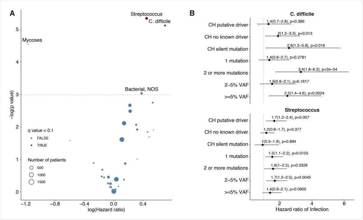 Association between CH and risk of infection in solid tumor patients. A) Volcano plot of the log(Hazard ratio) of infection with CH using multivariable cox proportional hazards regression. B) Association between CH subtype defined by putative driver status and risk of Clostridium Difficle and Streptococcus/Enterococcus infection using cox proportional hazards regression. All models were adjusted for age, gender, race, smoking, diabetes, cardiovascular disease, COPD/asthma, cancer primary site (if history of malignancy), exposure to cytotoxic cancer therapy.