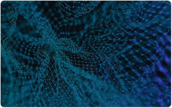 New method analyzes brain signals to assess how humans control everyday behaviors