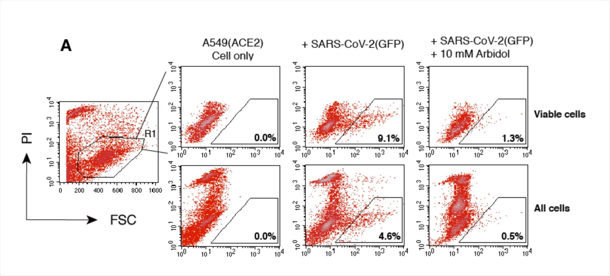 Validation of SARS-CoV-2 S protein pseudotyped reporter viruses for the screening and quantification of antiviral drugs and neutralization antibodies.
