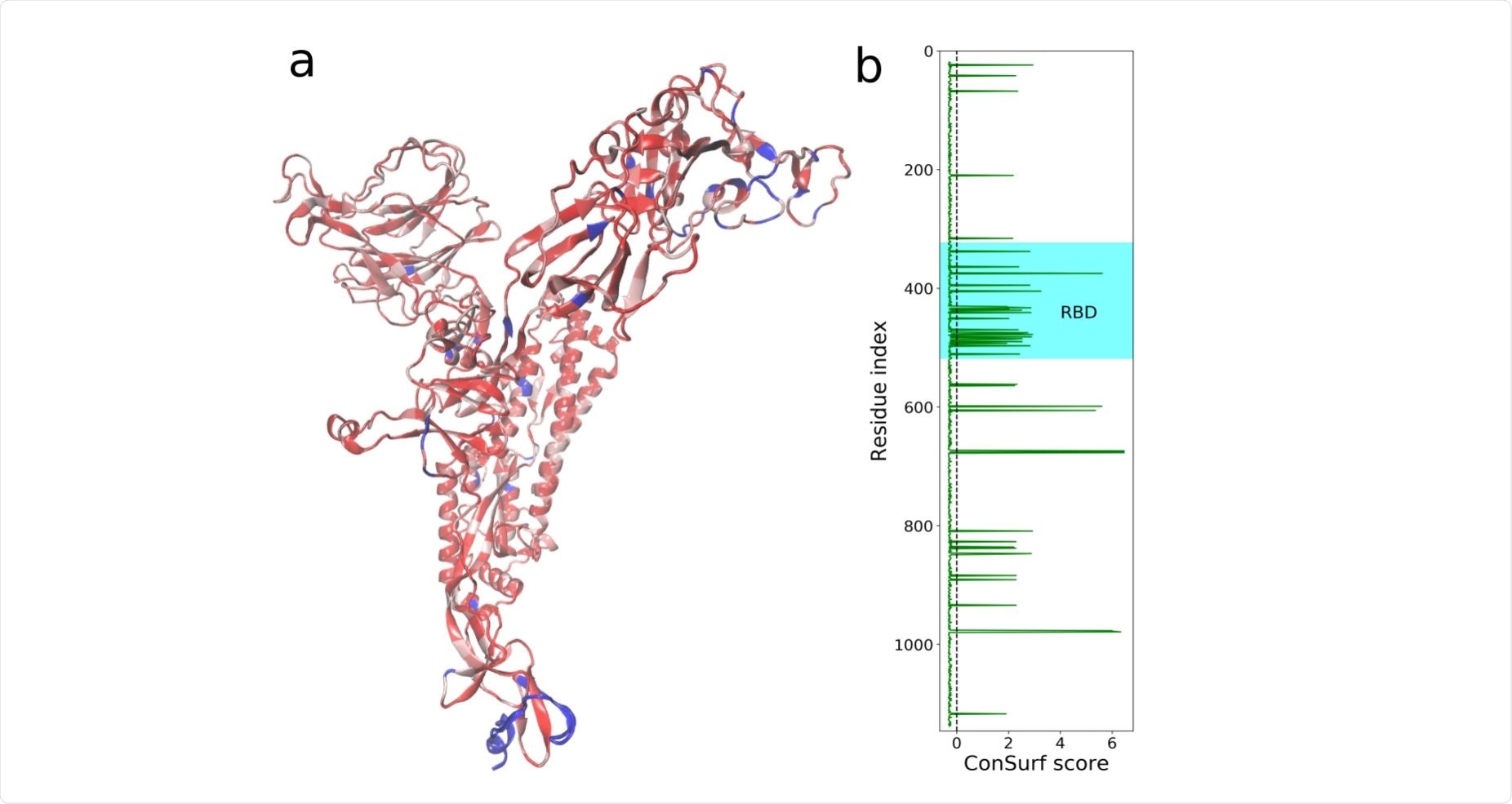 The structure of the spike monomer with residues colored according to their degrees of variability over different strains