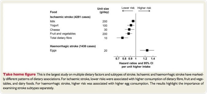 Figure showing which foods are associated with low or high risk of ischaemic or haemorrhagic stroke. Image Credit: European Heart Journal
