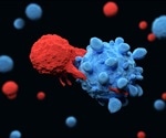Immune cells count each other in order to decide whether to attack