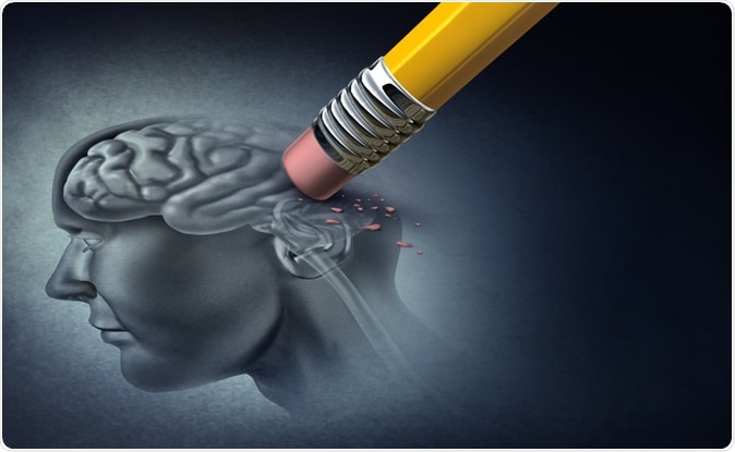 Image credit: Lightspring / Shutterstock