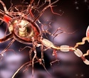 Targeting CSE enzyme may offer new pathways for Alzheimer’s treatment