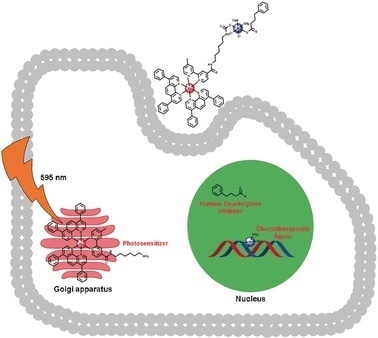 Single-drug therapy can attack several cellular targets using different modes of action