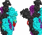 Scientists find important clues to vaccine in SARS-CoV-2 genome
