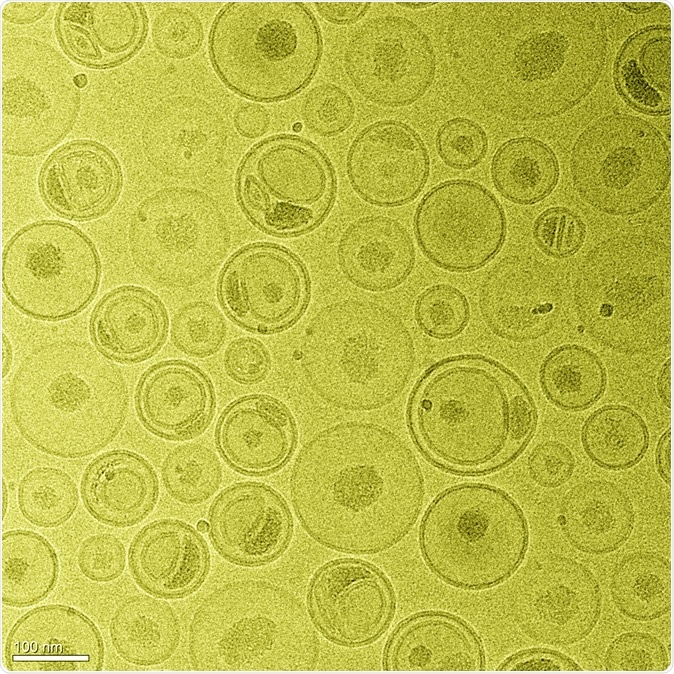 Lipid nanoparticle (LNP) formulation loaded with an anticancer drug. Image Credit: Photos de Dodo / Shutterstock