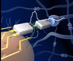 Researchers unveil electronics that mimic the human brain in efficient learning