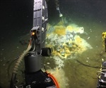 Microbiologists discover ethane-munching microbes in hot vents