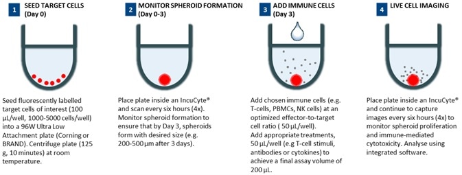 Continuous live-cell analysis: methodology