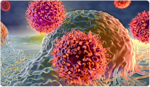 IncuCyte® SX1 Live-Cell Analysis System