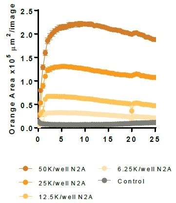 Apoptotic Neuro-2A.