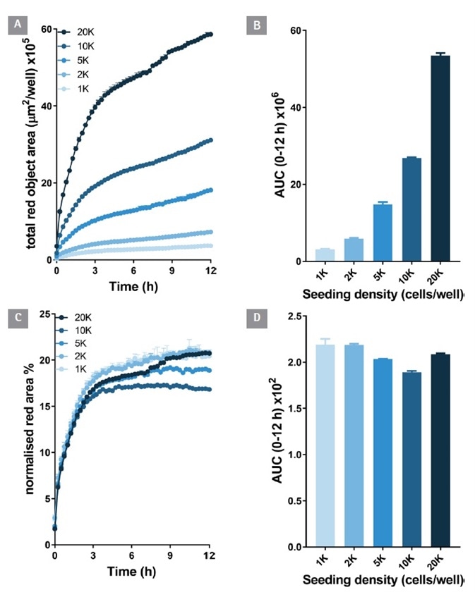 Antibody internalization response is cell number dependent. An increasing density of HT1080 cells were seeded (1-20 K/well) and treated with IncuCyte® FabFluor labeled α-CD71 (4 μg/mL). HD phase and red fluorescence images (10x) were captured every 30 min over 12 h. The time-course of red object area data demonstrates an increasing internalization signal with increasing cell number (A and B). When the red object signal is normalized for phase area it is clear the internalization response size is dependent on cell number (C and D). All data shown as a mean of 3 wells ± SEM, bar graphs show area under the curve (AUC) calculated from time course data.