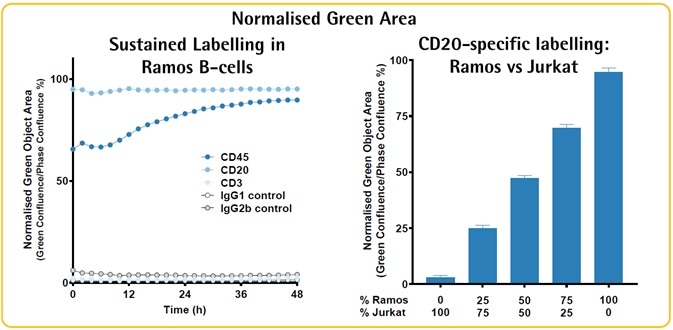 Validation: Non-perturbing, sustained, and specific labeling