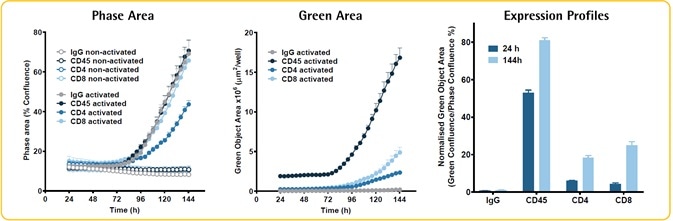 Live-cell immunocytochemistry: PBMC immuno-phenotyping