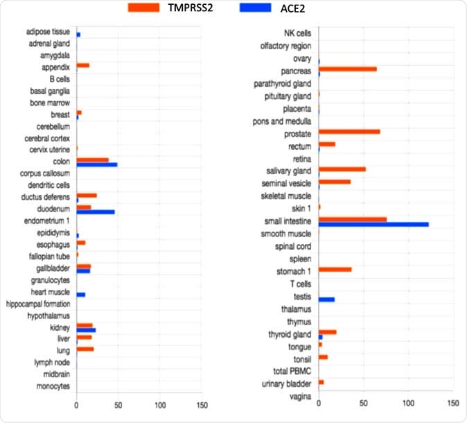 TMPRSS2 and ACE2 tissue expression