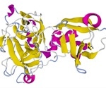 Study discovers inhibition of SARS-CoV-2 entry priming protein by approved drug