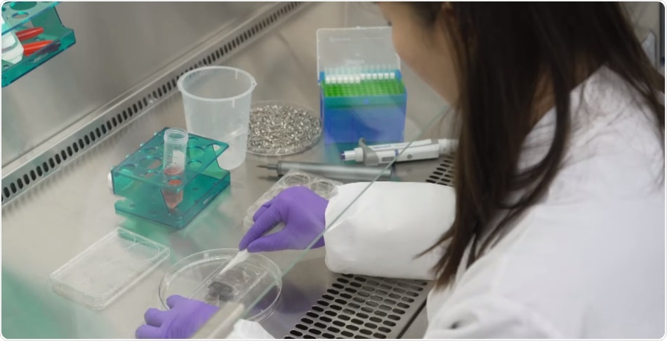 Hesperos’ immune system-on-a-chip emulates immune reactions for tissue damage and acute inflammation