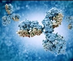 What Factors Affect Antibody Production?