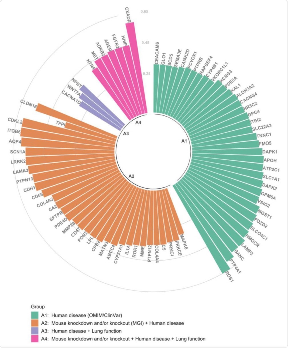 Correlation level and annotation of TMPRSS2-correlated genes. Each bar represents a single gene (all with druggability scores Tier 1-3 12), and Pearson correlation coefficient (r) between the gene and TMPRSS2 within the module is shown on the y axis. Colours of bars represent combined biological information: green (group A1) represents genes related to human diseases based Online Mendelian Inheritance in Man (OMIM) and ClinVar databases; orange (group A2) are genes associated with human diseases, which also have phenotypic information on knockdown or knockout mouse models based on Mouse Genome Informatics (MGI) database; purple (group A3) represents genes associated with human diseases and with genetic variants associated to lung function traits 14; pink (group A4) represents genes associated with a human disease, with phenotypic information on knockdown or knockout mouse, and genetic variants associated with lung function.