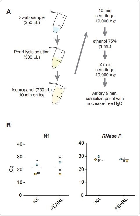 Overview of PEARL. B) Comparative RT-qPCR analysis of the levels of SARS-CoV-2 nucleocapsid (N1) and RNaseP RNA sequences in four de-identified SARS-CoV-2 positive samples after RNA extraction using PEARL or a dedicated RNA extraction kit (QIAamp Mini Elute Virus Spin Kit). Corresponding samples are color-coded. The black lines indicate the median. P = 0.72 (N1), P = 0.56 (RNaseP), t-test.