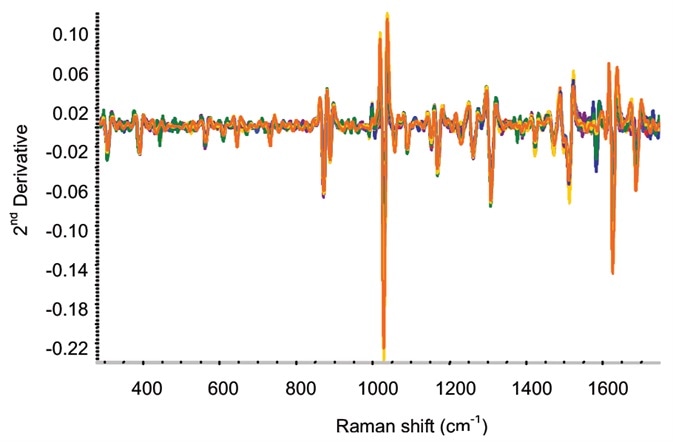 Second-derivative spectra for on-line ketoprofen measurements. Several spectra each are included for ketoprofen contents of 2.5%, 5%, 7.5%, 10%, 15%, and 20%.
