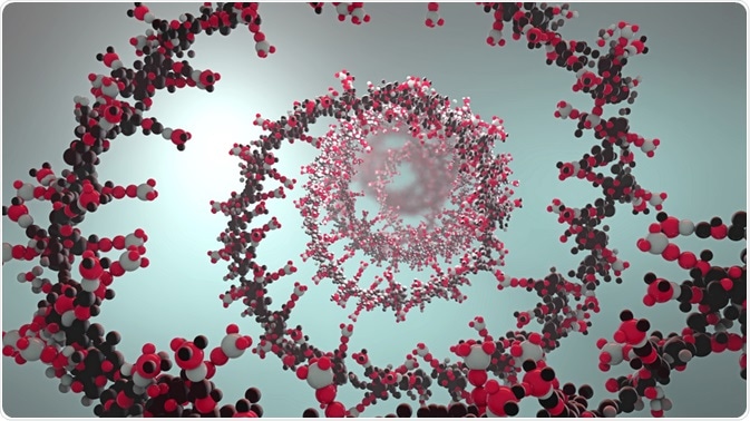 Ribonucleic acid chain
