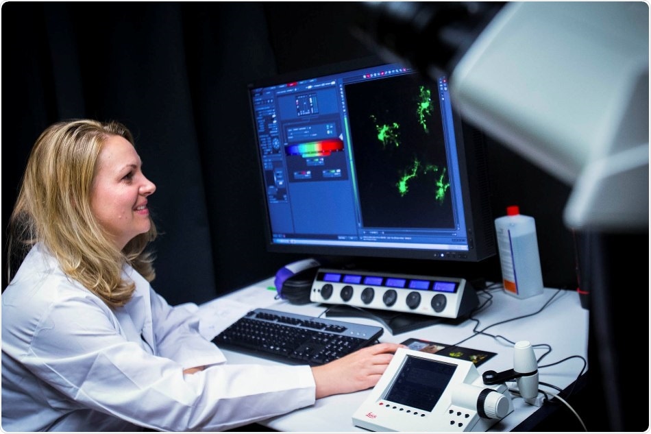 Discovery could have important implications for brain infections, neurodegenerative diseases