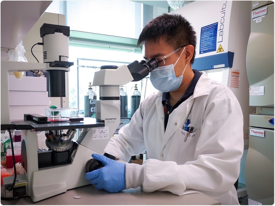 Potential antibody treatment for yellow fever developed in 7 months using Rapid Response Strategy