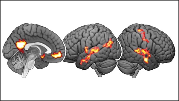 People can make better decisions when trying to avoid harm to others