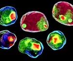 Using Virtual-freezing to Combine Fluorescence Imaging and Flow Cytometry