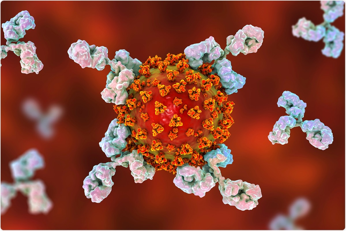 Study: High titers of multiple antibody isotypes against the SARS-CoV-2 spike receptor-binding domain and nucleoprotein associate with better neutralization. Image Credit: Kateryna Kon / Shutterstock