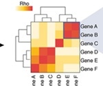 Underlying pathology of MIS-C in children following SARS-CoV-2 infection