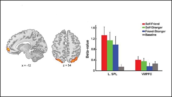 Research pinpoints brain region responsible for self-bias in working memory Research pinpoints brain region responsible for self-bias in working memory