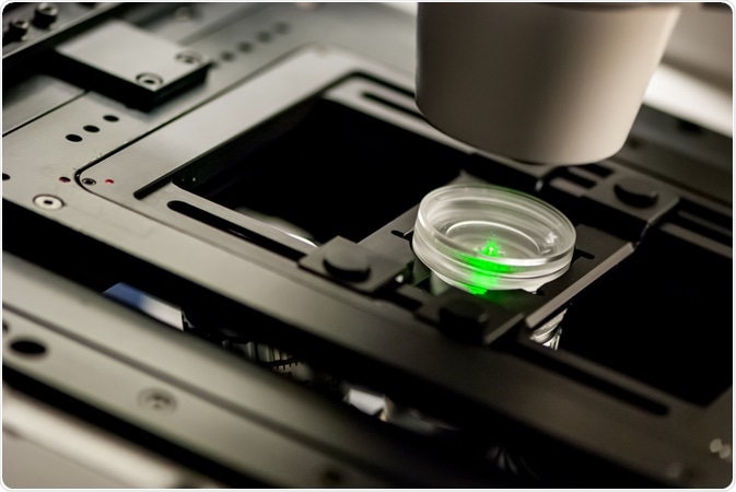 confocal fluorescence