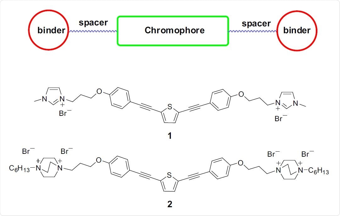 Top: functional components of end-only functionalized oligomers. Structures of 1 and 2 used in this study are shown below.