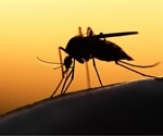 Australian researchers uncover new target for next-generation malaria vaccines