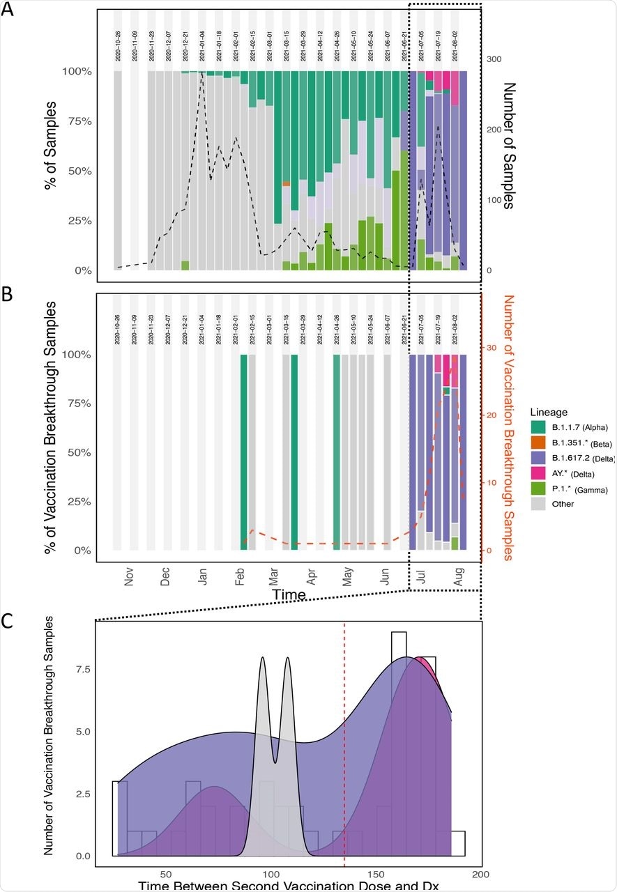 SARS-CoV-2 variants distribution in Alachua County, Florida, over time. (A) Lineage distribution (y-axis) vs. time (x-axis) among sequenced samples. Total number of samples successfully sequenced is represented by the black, dotted line (right y-axis). (B) Lineage distribution (y-axis) vs. time in vaccine breakthrough cases. Total number of samples successfully sequenced is represented by the red, dotted line (right y-axis). (C) number of vaccine breakthrough cases (x-axis) vs. time between 2nd vaccination dose and diagnosis (y-axis).