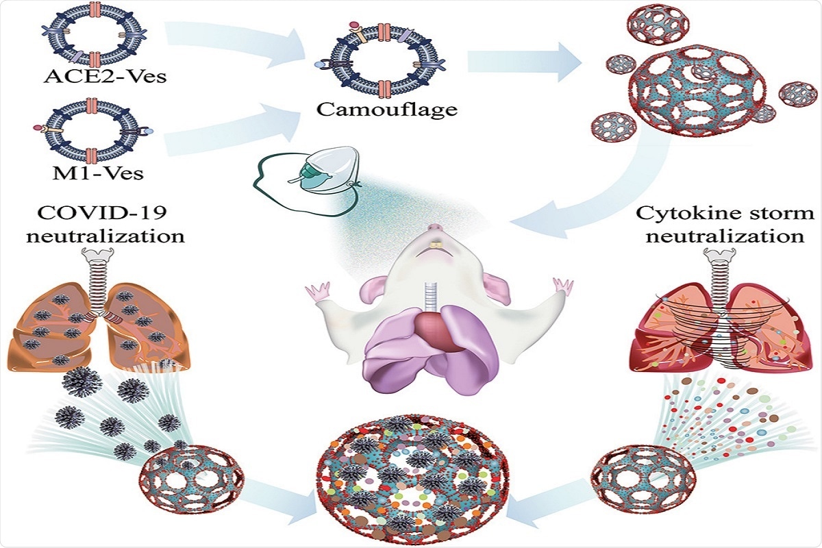 Graphical Abstract: Inhaled ACE2-engineered microfluidic microsphere for intratracheal neutralization of COVID-19 and calming of the cytokine storm