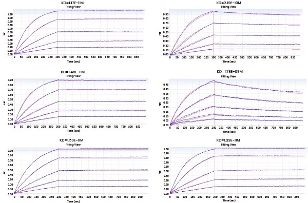 Kinetic screening of candidate molecules against the targets (Octet data)